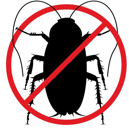 Armageddon Pest Control is ready to exterminate your pesky cockroach problem in and around your Canberra home.