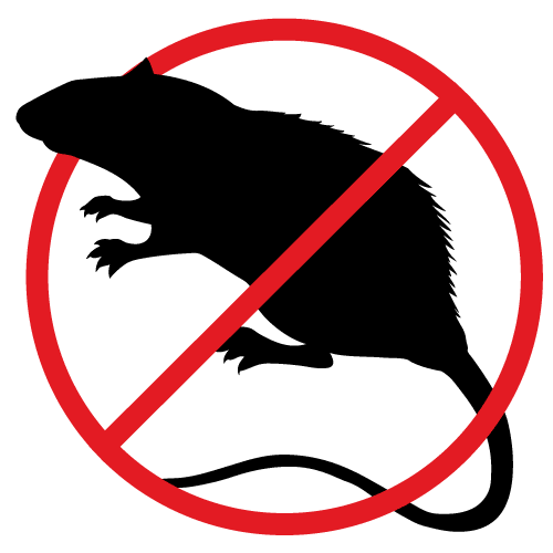No one likes the sight of rats around their Canberra home, call Armageddon Pest Control to remove the pesky critters.