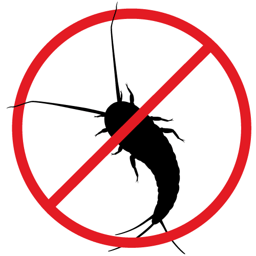 Silverfish will eat just about anything around your Canberra home, but don't threat, Armageddon Pest Control treats for these critters.